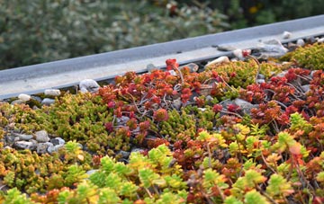 the cost of Yelling green roof installation
