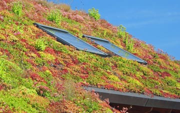Yelling living roof systems